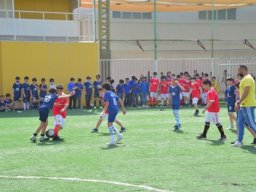 MIS Sports